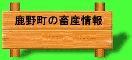 쒬̒{Y